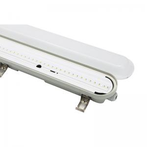 China 40W 60W 4FT IP65 Waterproof LED Light 120 Degree Angle Durable wholesale