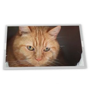China 7.0-Inch WLED TFT LCD Display Module TM070RBH10-00 with 800*480 Resolution Various Applications ODM for LCD Modules wholesale