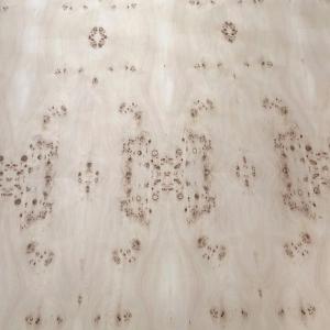 China Mappa Burl Wood Veneer Sheet Natural Plywood For Flooring Furniture on sale