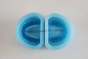 China Cheap Durable Dental Plaster Model Mold for Dentist wholesale
