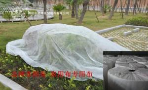 China 100% Polypropylene Agriculture Non Woven Fabric Weed Control Ground Cover Net Mesh Cloth wholesale