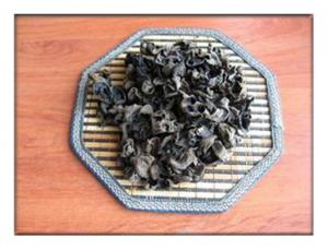 China Dried Black Fungus/Edible Black Fungus wholesale