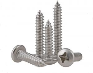 China Slotted Cross Recessed Hardened Stainless Steel Screws , Triangle Thread Ss 304 Fasteners wholesale