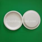 Biodegradable Disposable Sugarcane Pulp Paper Plate, 10 inch Bagasse round plate