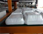 White Plastic Styrofoam Disposable Lunch Box Making Machine 170-200KW