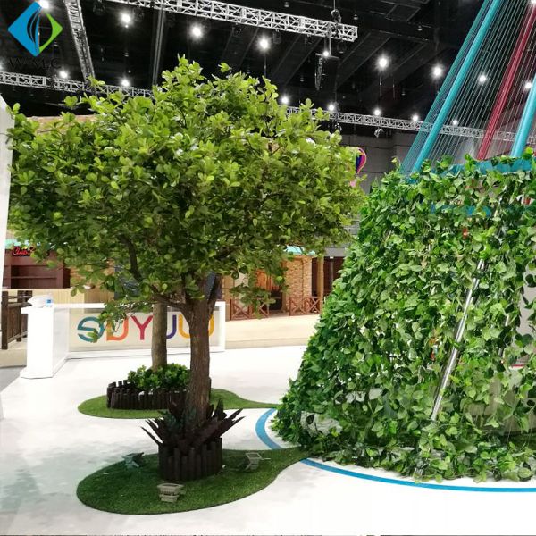 ficus lyrata.jpg
