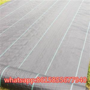 China Landscape Fabric - Weed Barrier Cloth supplier in China wholesale