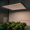 640W Gavita Custom Spectrum For Indoor Home Garden Foldable Plant Grow Light LED for sale