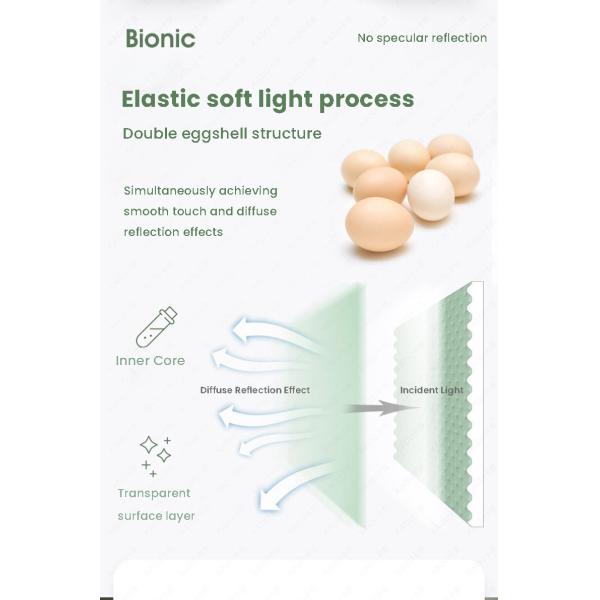 Direct Supply Interior Decorative Eggshell Wall Paint Moisture-Proof Single Component