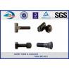 Railroad Fastener Qualified Railway Bolt  with washer / heavy square nuts for sale