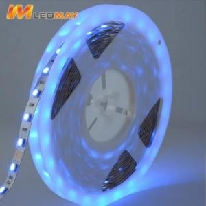 China Dc 12v 24v Led Smd 2835 Rgb LED Strip Light 6500K 8mm For Room wholesale