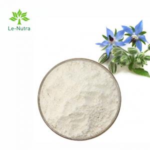China Gmp Natural High Quality Borage Seed Oil Powder with Linolenic Acid and Omega 6 Fatty Acid wholesale