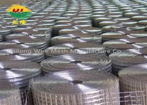 China Stainless Steel 25mmx25mm Welded Wire Mesh Rolls Industry Use wholesale