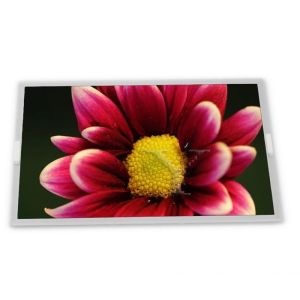 China LM238WF2-SSL1 23.8 TFT LCD Display Modules supplier lcd panel supplier lcd panel orginal highly adaptive wholesale