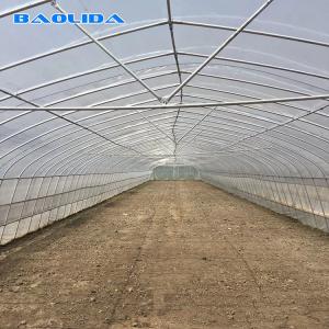 China Tomato Growing Naturally Ventilated Greenhouse Plastic Film Greenhouse wholesale