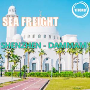 China 20 Days Worldwide Sea Freight Logistics From Shenzhen To Dammam Saudi Arabia wholesale