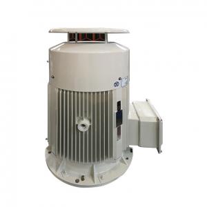 China 0.12KW - 315KW Low Voltage Electric Motor Asynchronous Electrical AC Motor wholesale
