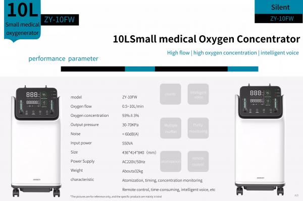 Oxygen Breathing Machine 10L/Min Dual Flow Adjustable English Version
