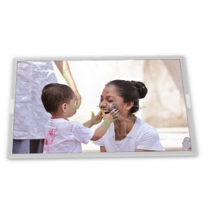 Custom ODM 12.1-Inch WLED LCD Display Module with 1280*800 Resolution Specific Application Suitable LCD Modules