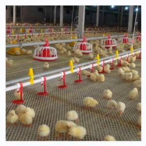 China Chicken Coop Automatic Poultry Farm Equipment With Ventilation System wholesale