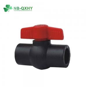 China US 2/Piece Samples Socket Joint PE Pipe Fitting Water Valve Plastic HDPE Ball Valve wholesale