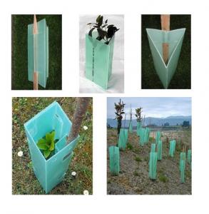 China RoHS PP Corflute Corrugated Plastic Tree Guards 100% Recyclable wholesale