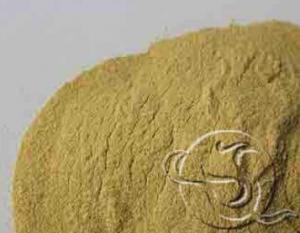 China Bee Pollen Extract (5:1) wholesale