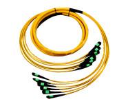 China Fiber Optic Passive Components, DW-MPOST72 MPO to ST Patch cord, 72 Cores on sale
