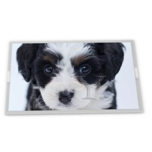 N080ICP-G01 8inch TFT LCD Display Modules supplier lcd panel Rectangular screen