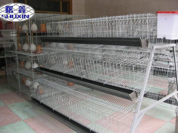 Quality Professional Automatic Layer Chicken Cage For Commercial Chicken Farm for sale