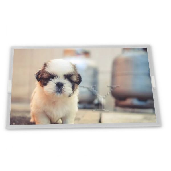 M238DAN01.5 23.8 TFT LCD Display Modules Reliable Quality Service Complete range