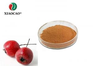 China Medical Grade Hawthorn Standardized Extract , Hawthorn Fruit Extract on sale