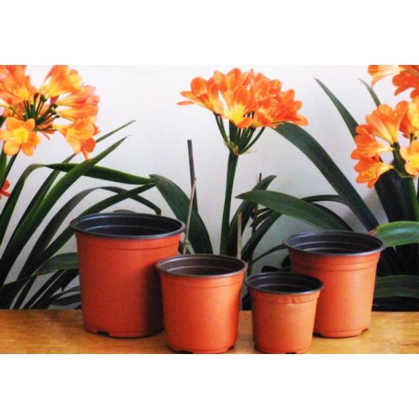 New Style Container Gardening Pruning Flower 15 Gallon Net Nursery Pots