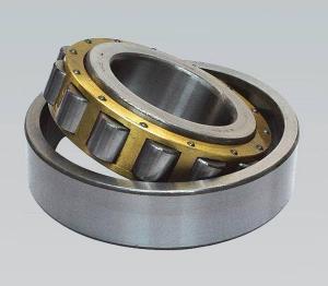 China OEM Cylindrical Roller Bearing 80 x 170 x 39mm N316E TVP2 Nylon Cage 6.7kg wholesale