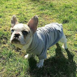 China cheap fleece dog hoodie pet apparel factory wholesale in cheap price wholesale