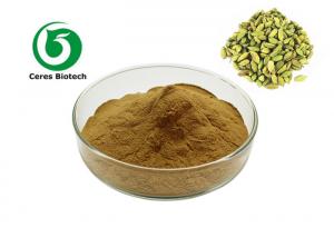 China Natural Herbal 4/1-20/1 Cardamom Extract Powder Health Protection on sale