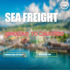 China 34 Days International Sea Freight Shipping From Qingdao To Caucedo Dominican on sale