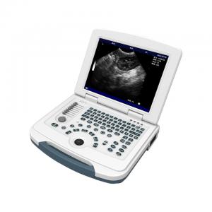 China PC Platform Veterinary Ultrasound Machine 12.1'' LCD Animal Ultrasound Scanner on sale