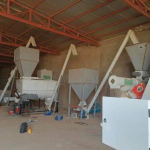 China 1-5 Ton Per Hour Capacity Cattale Pig Chicken Animal Feed Pellet Production Line For Big Feed Pellet Produce Plant wholesale