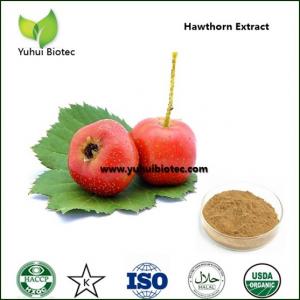 China hawthorn fruit extract,hawthorn extract vitexin,hawthorn extract powder on sale