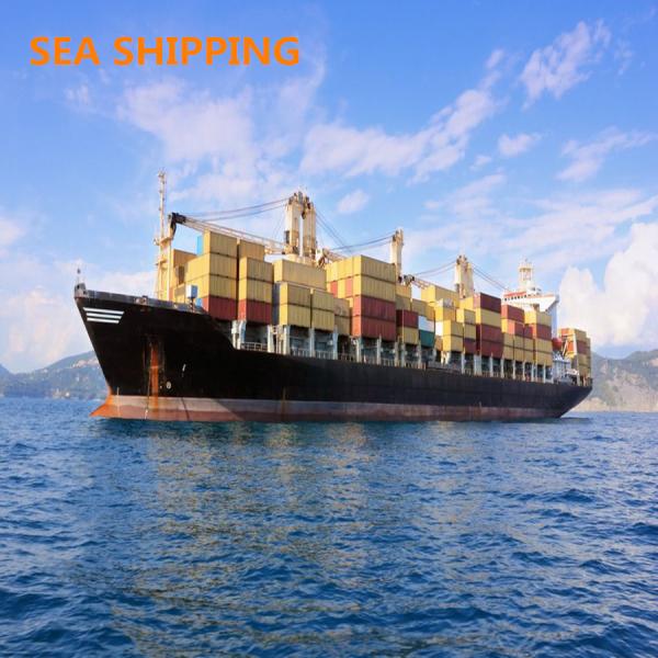 Quality China To Portland USA Door To Door LCL DDP Sea Shipping for sale