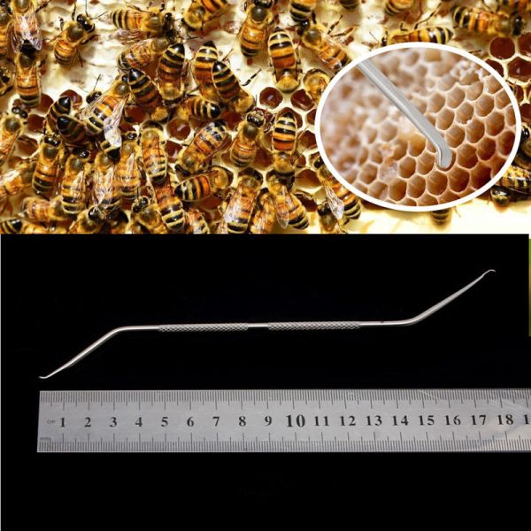 BEESTAR European-style dual-use Larvae tool Queen Rearing Beekeeping for Bee Farms and Apiaries