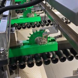 Smart Dates Sorting Machine With AI-powered Sorting System, high resolution