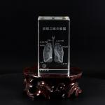 Multi Organ Crystal Ornament Acupuncture Culture Accurate Labeling Transparent