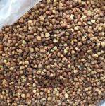 Image Processing Algorithmseed Color Sorting Machines With Solenoid Valve
