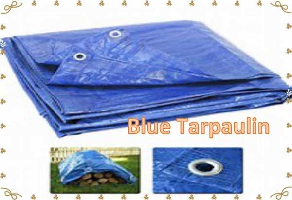 Quality Blue Tarp Tarpaulin Poly Tent Canopy Cover Camping Ground Sheet  With Grommets for sale