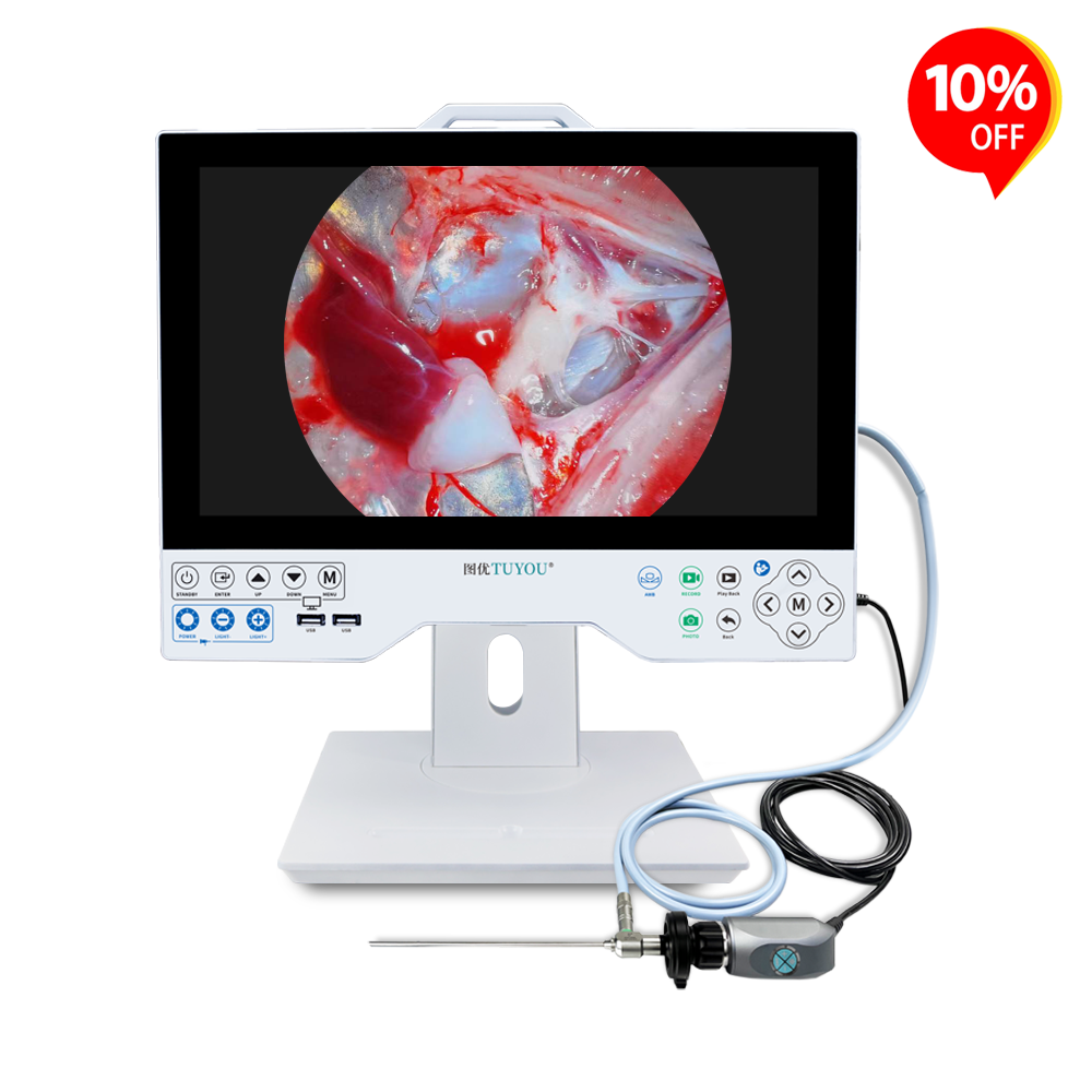 China 15.6&quot; Display FHD All-in-One Medical Endoscope Camera System with Multi-Output Interfaces for Laparoscopic/ENT/Urological Exams wholesale