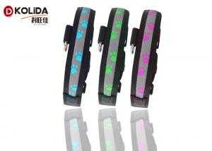China LED Flashing Light Dog Collar and Leash Safety Pet Dog Puppy Collar Lead in Night wholesale