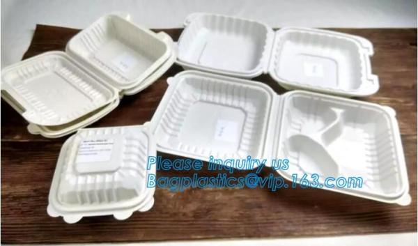 plastic dispoFactory Direct Sale 3PCS Sealed Frozen Plastic Crisper/Preservation Box/Plastic Food Storage Container Eco