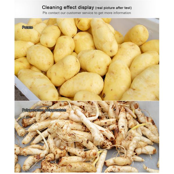 Fruit Vegetable Potatoes and round tuber crops Carrots and longitudinal root vegetables Ginger Potato Carrot Taro Sweet potato Yam Saiko persimmon